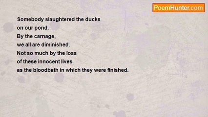 William Kruse - Somebody