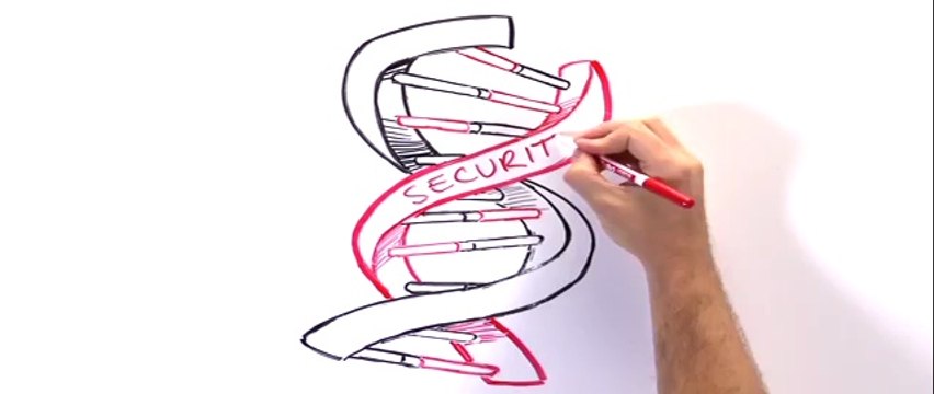 Venus Technologies Inc - Cybersecurity Basics