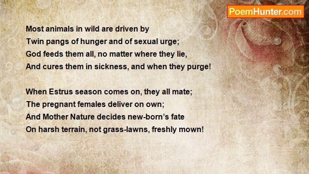 Dr John Celes - Sonnet: Wild Beasts Do Not Abor...