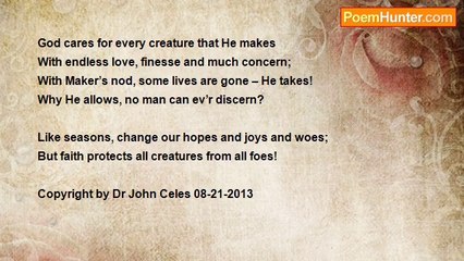 Dr John Celes - Sonnet: A Shadow in the Sky!