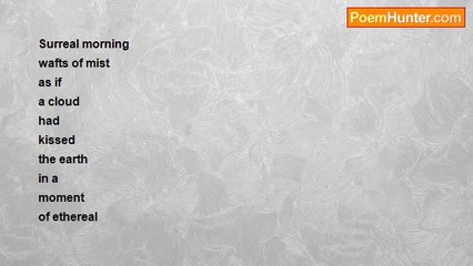 Brenda Finch - Foggy Morning