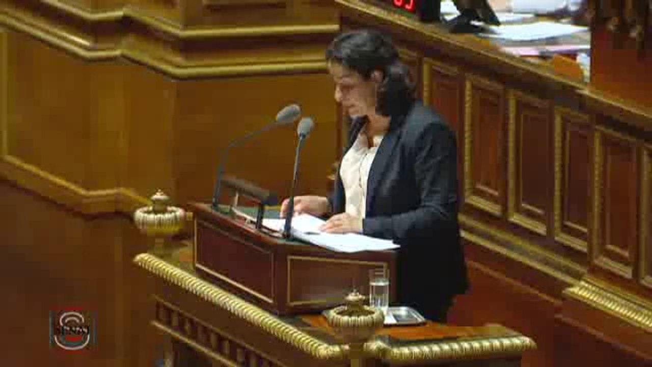 Débat sur les collectivités locales et la culture