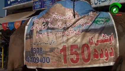 Camel Report Jhelum by cnewspk