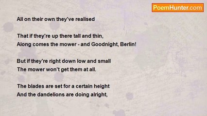 Terry Donovan - Short Thought