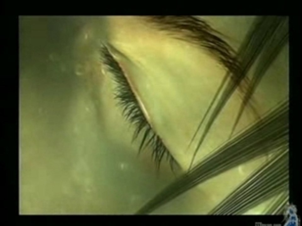 Historique de Final Fantasy