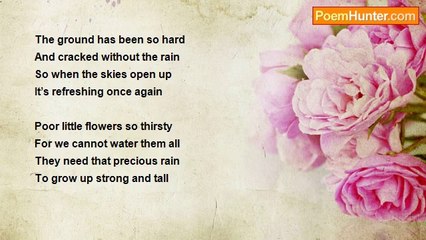 Marilyn Lott - Smell the Rain