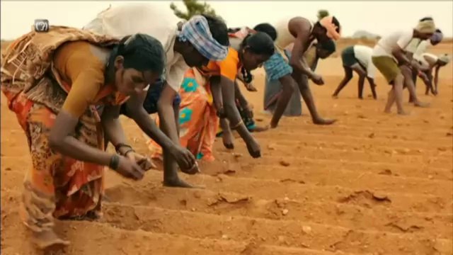 TV3 - Dissabte, 21.55, a TV3 - Vicenç Ferrer , aquest dissabte 14 de juny