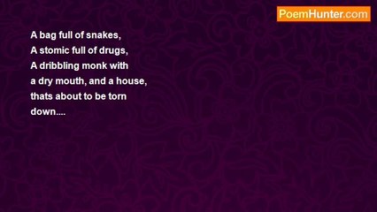 DAVID GERARDINO - 412 B, BAG FULL OF SNAKES