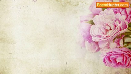 john tiong chunghoo - Travel Haiku - Cayman Islands