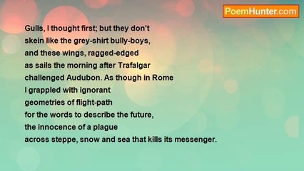 Richard George - Augury