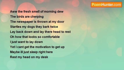 Ashley Olson - First Thoughts