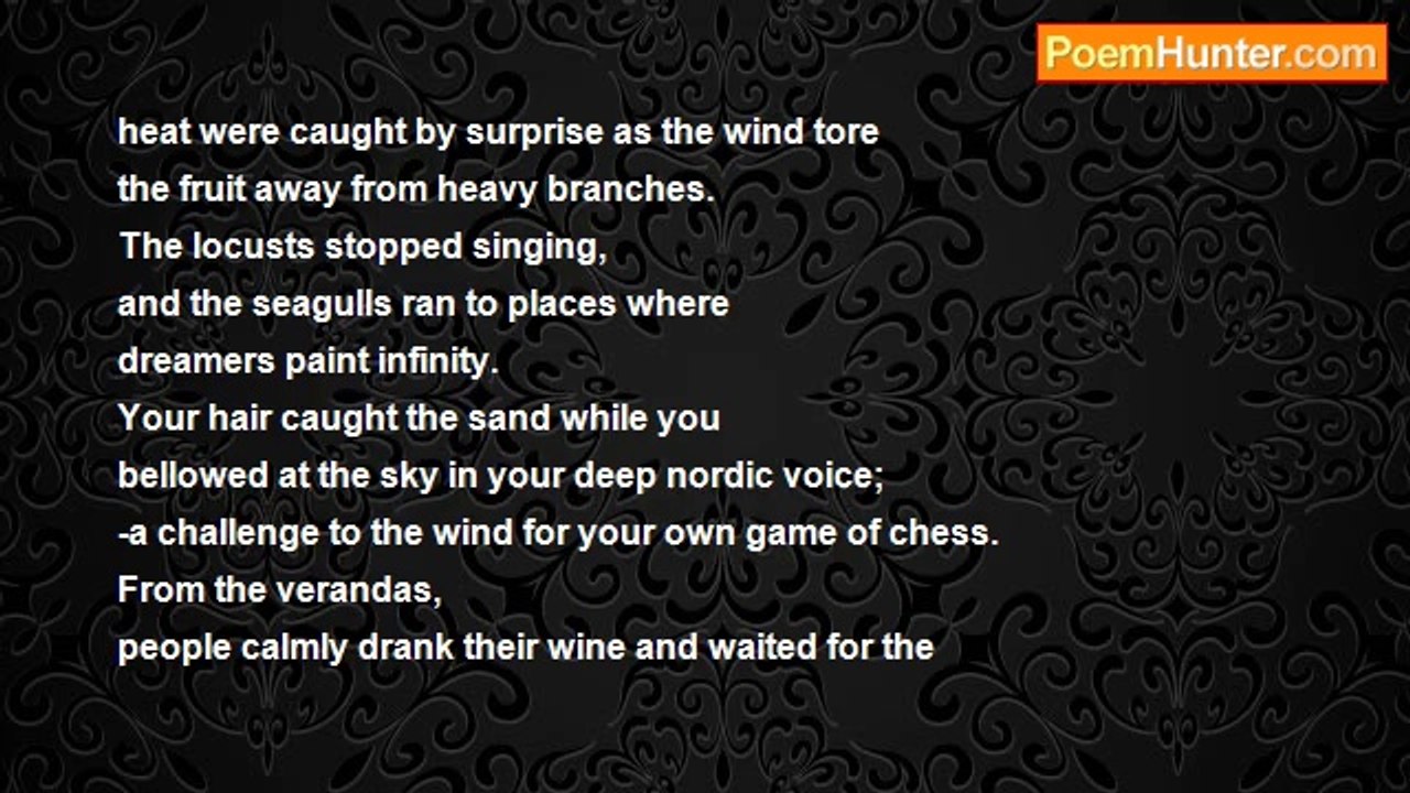 Judith Vriesema - The Drought breaks