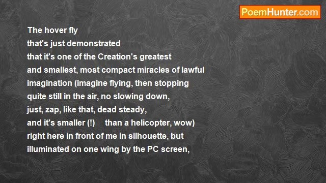 Michael Shepherd - 0207 Hover Fly