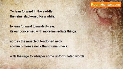 Michael Shepherd - ! Horse and rider