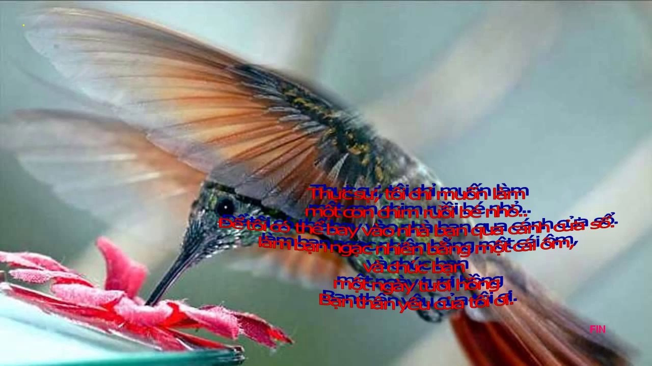 Tôi Muốn... (Linda Ronstadt-Winter Light) (PP)