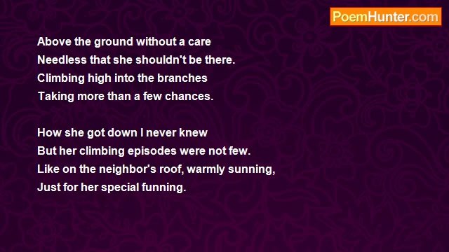 Sidi J. Mahtrow - Cats Have Opposing Thumbs