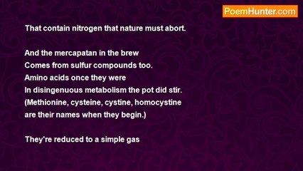 Sidi J. Mahtrow - Homocysteine - A reply