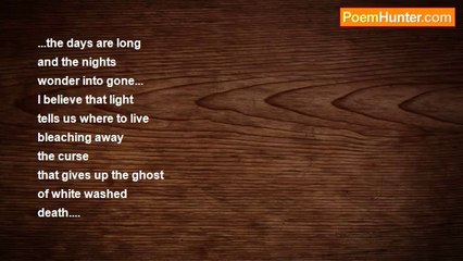 Adryan Rotica - Light Wind