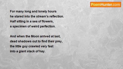 Herbert Nehrlich - Do Earwigs Have Hair?