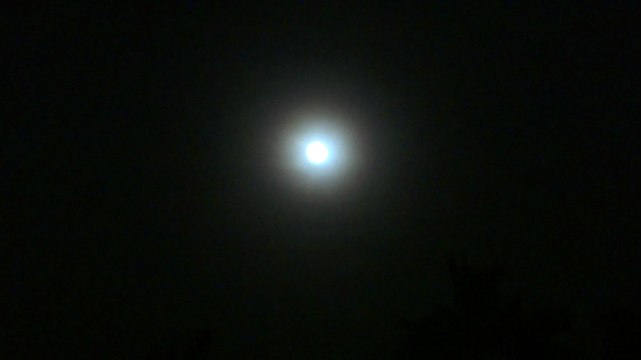 DESNOS MICHEL PRESENTE UN CONCERT DE GRENOUILLES A CAMPLONG 11 6 2014 22H