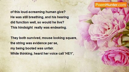 Herbert Nehrlich - Cute Little Mouse