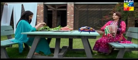 Janam Jali Episode 8 Full Drama On  Hum Tv Drama "12 June 2014"