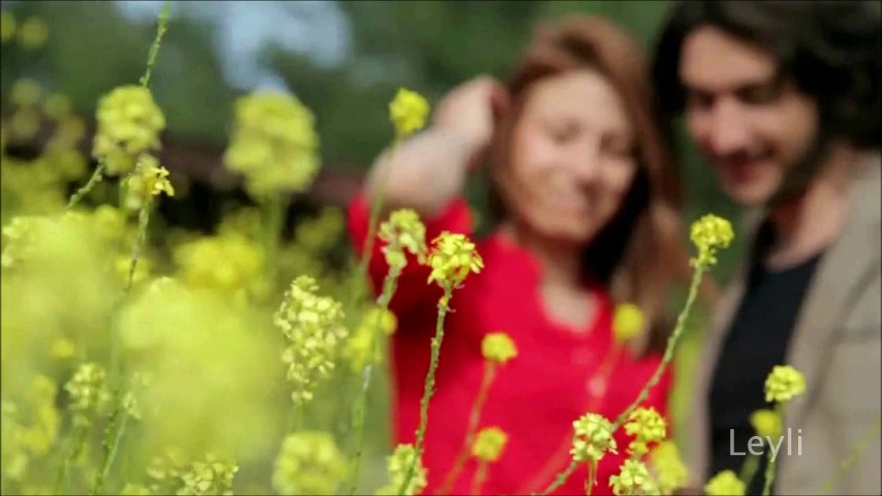 Peppino Gagliardi - T'Amo E T'Amero..