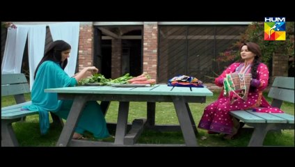Janam Jali Episode 08 on Hum Tv - 12th June 2014