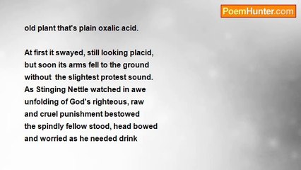 Herbert Nehrlich - The Kindness Of Rhubarb Junior