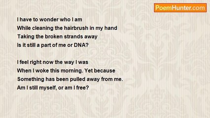 r james sterzinger - If The Creator Will