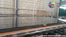 CMS Glass Machinery - Glass Cutting Line in Saudi Arabia