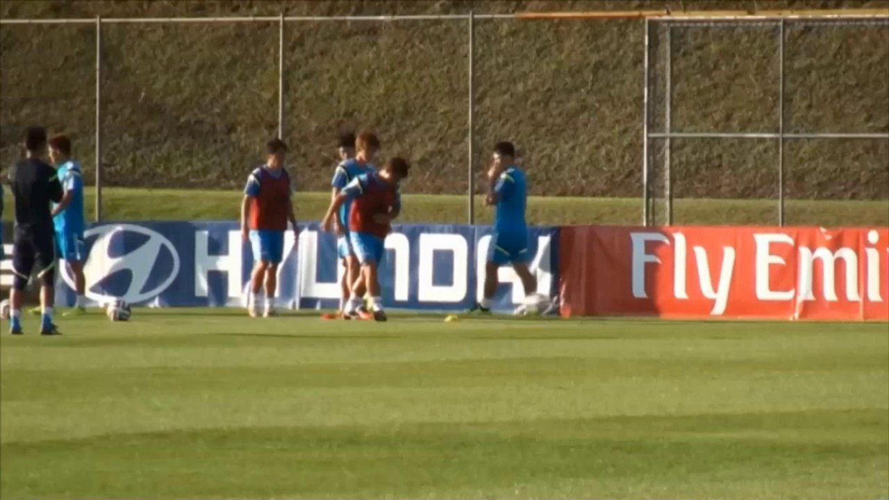 WM 2014: Honda: 'Kann alles passieren'