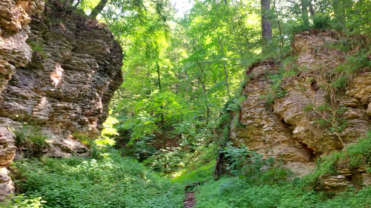 Bielsteinhöhle bei Horn-Bad Meinberg - www.lipperland.de
