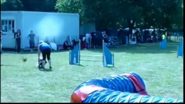 Concours agility vertou GIFT cocker anglais