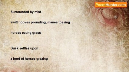 Lorraine Margueritte Gasrel Black - Equine Haiku