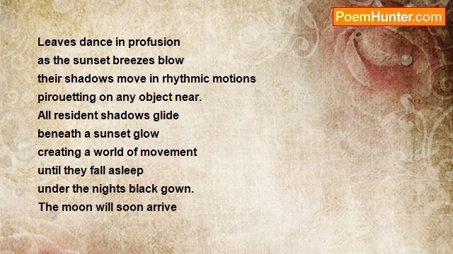 David Harris - Dancing Shadows