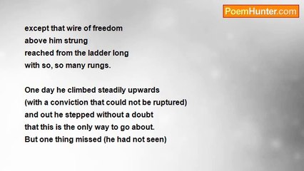 David Taylor - The high wire artist