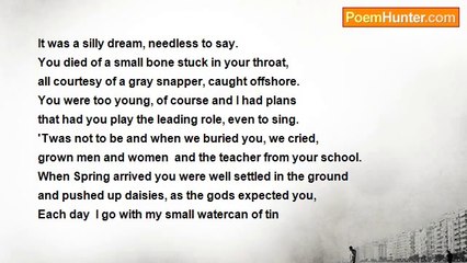 Herbert Nehrlich - Tara's Daisies