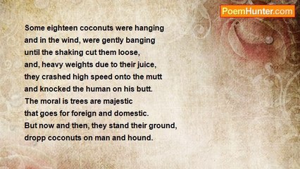 Herbert Nehrlich - Butt Coconuts