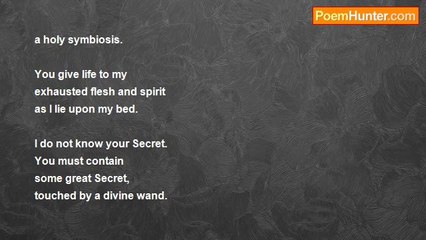 Max Reif - Ode To the Tree Outside My Window