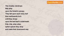 Pete Crowther - Chubby Raindrops; or, Abnormally Wet Rain for the Time of the Year