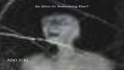 Scary Alien, Hybrid Caught On Deer Cam 2014 HD