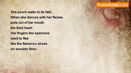 João Tomaz Parreira - The Flamenco Dancer