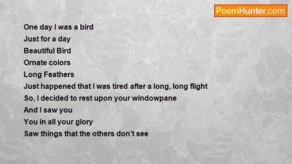 chanda panda - Bird on Your Windowpane