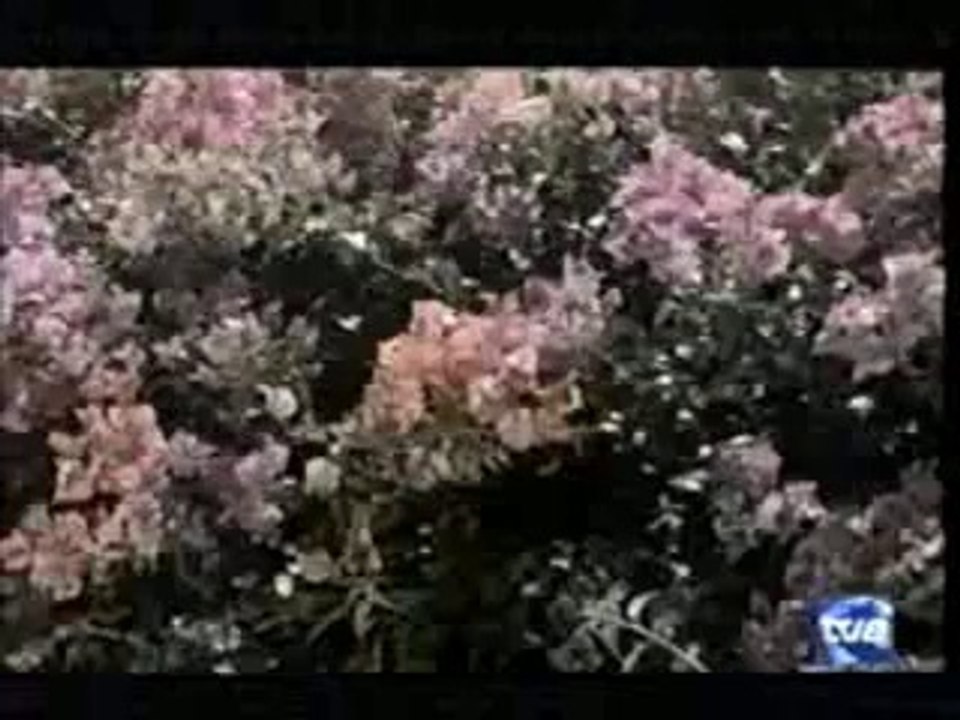 Duo Dinamico - Las Islas Canarias
