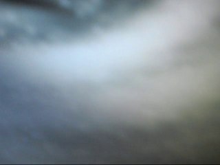 zero-project...First Night at the Wood Elf Forest