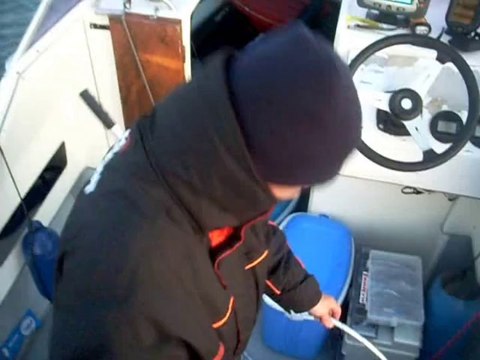 PECHE AU BAR 4 KG MAI 2011 CHAUSEY