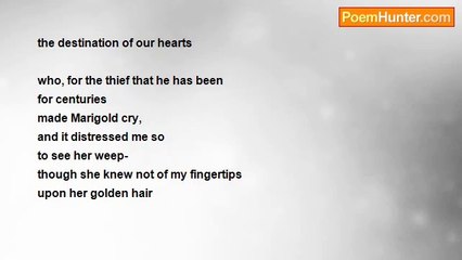 Amberlee Carter - Marigold