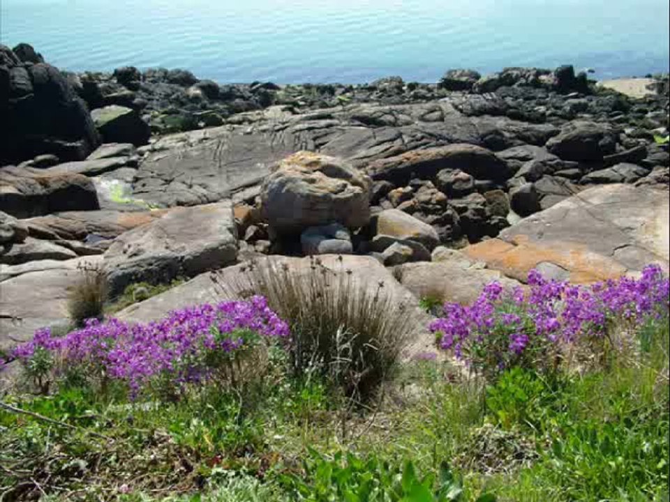 ILES CHAUSEY MANCHE
