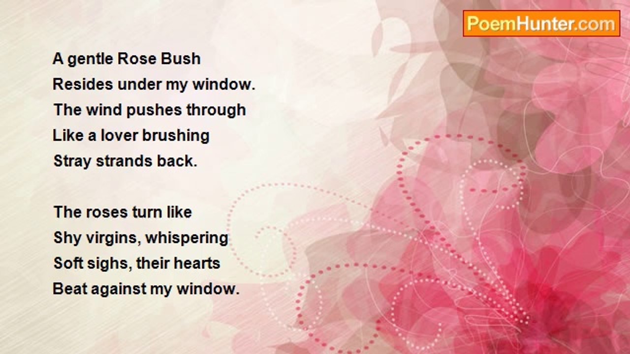 Charlotte Ballard - Tapping Rose Bushes